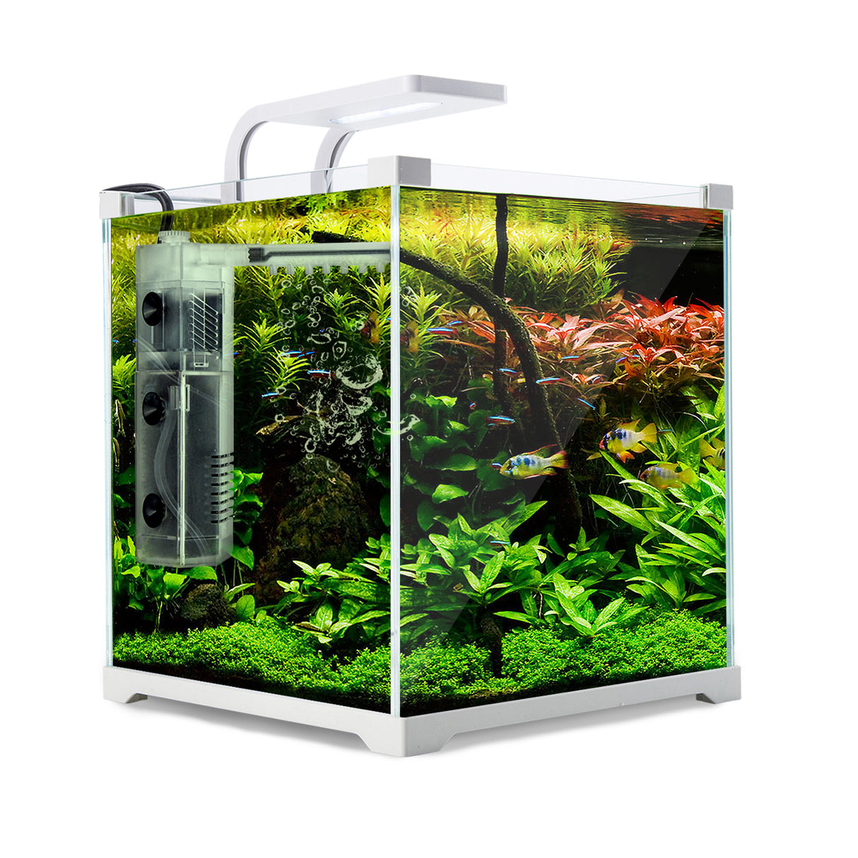 Aquarium Fish Tank 16L Starfire Glass 25x24x27cm Filter Pump LED