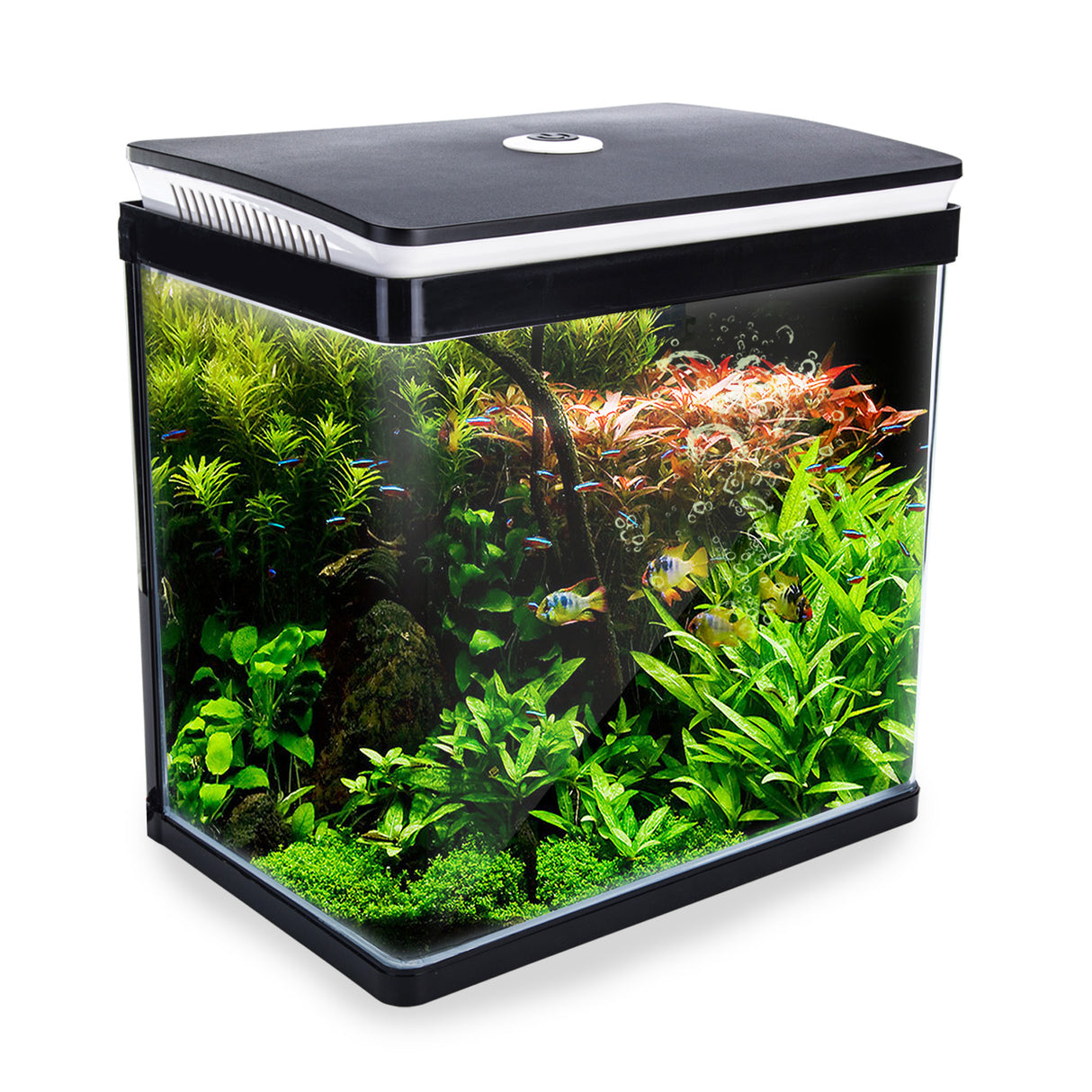 Aquarium Fish Tank 30L Curved Glass RGB LED Filter Pump 38x26x40cm