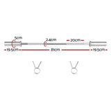 120cm chrome dumbbell bar with measurements and two spring collars for weightlifting