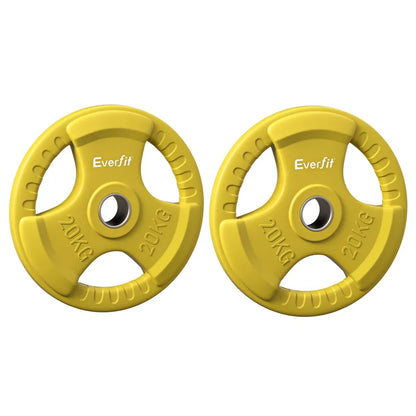 Everfit Weight Plates Olympic 20kgx2 Dumbbell Barbell Plate Weight Lifting Home Gym Yellow