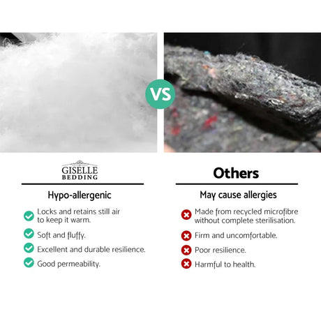 Comparison between Giselle Bedding hypo-allergenic fluffy white pillow filling and firm, rough recycled microfiber filling causing allergies