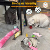 14-Piece Interactive Cat Toy Set - Catnip Fish & Variety Pack