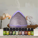 Purespa Diffuser Set With 10 Pack Diffuser Oils Humidifier Aromatherapy - Violet - Flea Market