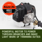 BAUMR-AG 65CC Long Reach Multi Tool - Pole Chainsaw, Hedge Trimmer & Pruner