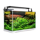 Aquarium Fish Tank 39L Starfire Glass 50x25x34cm Filter Pump LED