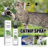 Catnip Spray - Natural Cat Anxiety Relief & Vitality Booster