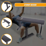 Flat weight bench with sturdy design, padded seat, gym workout setting, fitness equipment