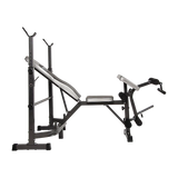 Adjustable weight bench and squat rack gym equipment on black background