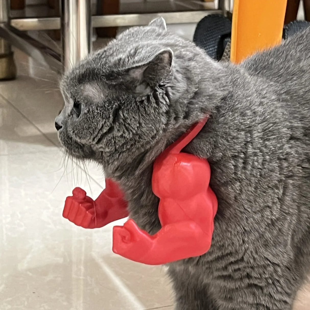 2-Piece Muscle Arm Pet Costume - Funny Novelty Arms for Cats & Dogs