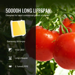 VEVOR LED Grow Light, 400W Full Spectrum Dimmable, High Yield Samsung 2B1B Diodes Growing Lamp for Indoor Plants Seedling Veg and Bloom Greenhouse Growing, Daisy Chain Driver for 4x4/5x5 ft Grow Tent - Flea Market