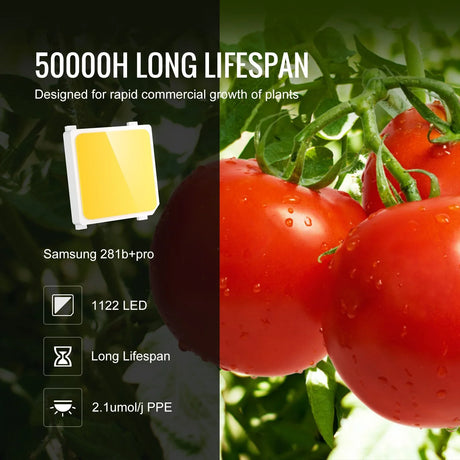 VEVOR LED Grow Light, 400W Full Spectrum Dimmable, High Yield Samsung 2B1B Diodes Growing Lamp for Indoor Plants Seedling Veg and Bloom Greenhouse Growing, Daisy Chain Driver for 4x4/5x5 ft Grow Tent - Flea Market